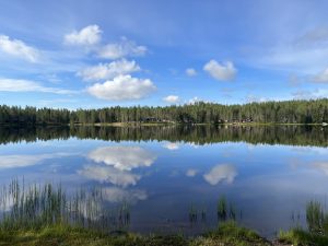 Poutapilvimaisema lammen rannalla